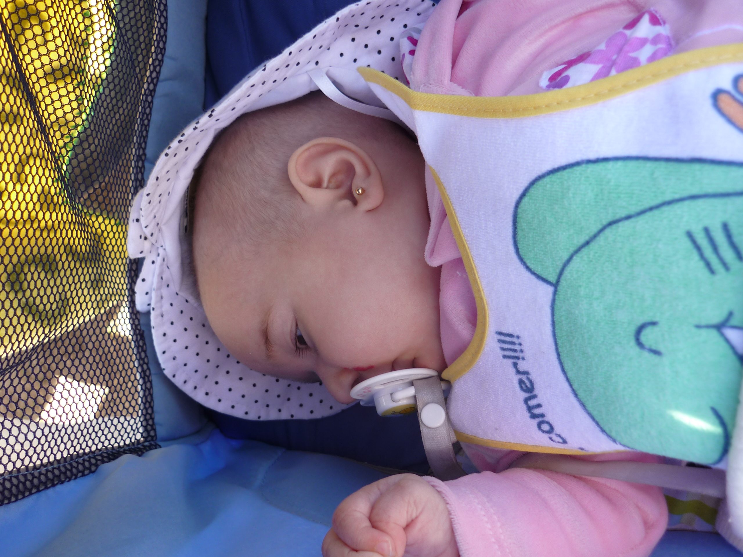 fotos/2010-10-10 - Fiesta del cordero/P1010498.JPG